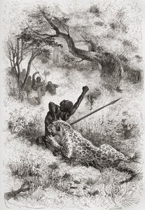 Leopardi hyökkäämässä afrikkalaista vastaan, piirros kirjasta "Maailma käsissä", kaiverrettu Henri Theophile Hildibrand (1824-97), julkaistu 1878 tekijältä Emile Antoine Bayard