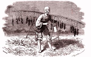 Rotan tappaja Kiinassa. 1874 (kaiverrus) tekijältä Emile Antoine Bayard