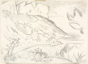 Cap Canaille ved Cassis. tekijältä Emile Othon Friesz