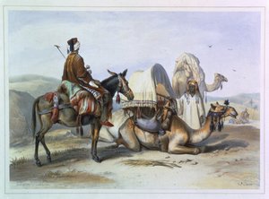 Kafila ja kameli, jolla on Hodesh, kuvitus teoksesta "Niilin laakso", kaiverrettu Lehnertin toimesta, julkaissut Lemercier, 1848. tekijältä Emile Prisse d