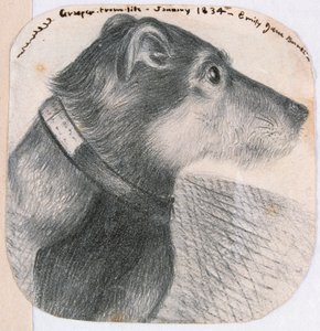 Grasper, elämästä tekijältä Emily Bronte