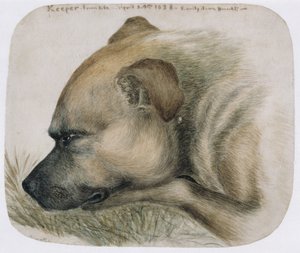 Vartija - elämästä, 1838 (kynä ja wc paperilla) tekijältä Emily Bronte
