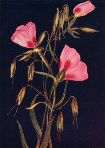 Jäähyväiset keväälle, c1915, 1915