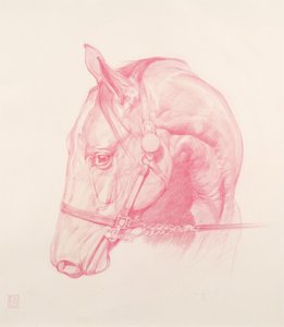 Muotokuvapää, 2010 (punainen liitu paperille)