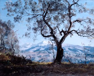 Mentonia ympäröivä alue, lähellä Roquebrunea, 1892 tekijältä Emmanuel Lansyer