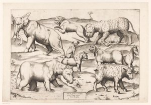 Yhdeksän eläintä Eläimistä antiikkiin seinämaalauksiin (sarjan nimi) Speculum Romanae Magnificentiae (sarjan nimi) tekijältä Enea Vico (attributed to)