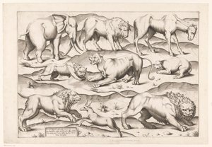Yhdeksän villieläintä Eläimistä antiikkisiin seinämaalauksiin (sarjan nimi) Speculum Romanae Magnificentiae (sarjan nimi) tekijältä Enea Vico (attributed to)