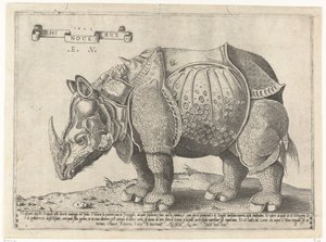 Neushoorn Rhinocerus (otsikko esineessä)