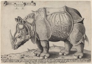 Sarvikuono tekijältä Enea Vico after Albrecht Dürer