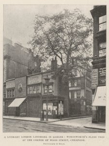 Lontoon kirjallinen maamerkki vaarassa, Wordsworths Plane Tree Wood Streetin kulmassa, Cheapside tekijältä English Photographer