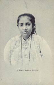 Malaijikaunotar, Penang (s/w-kuva) tekijältä English Photographer