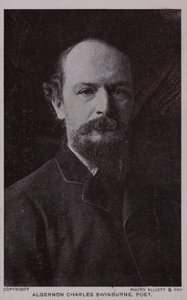 Algernon Charles Swinburne (1837-1909), englantilainen runoilija ja näytelmäkirjailija tekijältä English Photographer