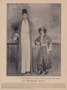 Egyptiläinen jättiläinen (m/w kuva) tekijältä English Photographer