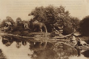 Ennen vedenpaisumusta eläimet tekijältä English Photographer
