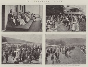 Goodwood Racesissa