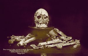 A G H Goughin löytämät 40 000-80 000 vuotta vanhan esihistoriallisen ihmisen luut (värikuva). tekijältä English Photographer