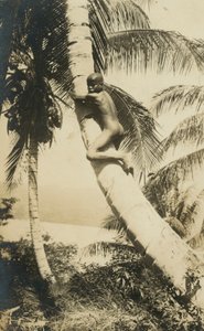 Poika kiipeämässä puuhun, Constant Bay, Jamaika tekijältä English Photographer