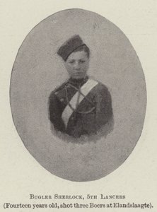 Bugler Sherlock, 5th Lancers tekijältä English Photographer