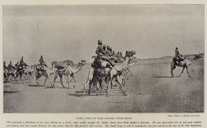 Kamelijoukot Wadi Halfehissa, Ylä-Egyptissä tekijältä English Photographer
