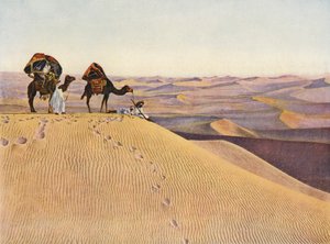 Kameleita Saharassa (värillinen kuva) tekijältä English Photographer