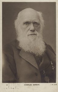 Charles Darwin (1809-1882), englantilainen luonnontieteilijä tekijältä English Photographer