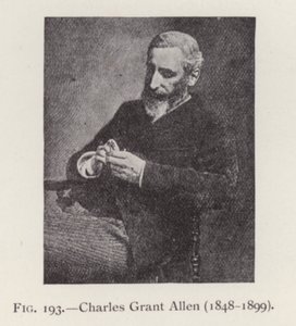 Charles Grant Allen (1848-1899), muotokuva (m/v kuva) tekijältä English Photographer