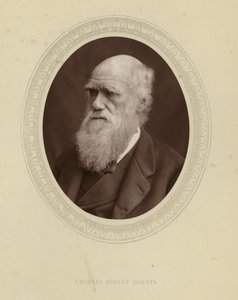 Charles Robert Darwin tekijältä English Photographer