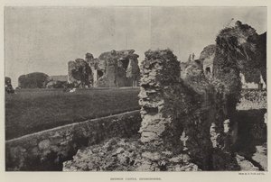 Denbighin linna, Denbighshire