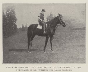Endurance-by-Right, Yhdysvaltain vuoden 1901 suurin narttu, jonka herra Whitney osti 40 000 dollarilla tekijältä English Photographer