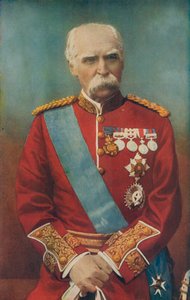 Kenttämarsalkka Sir Donald Martin Stewart. Governor Royal Hospital, Chelsea tekijältä English Photographer