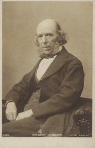Herbert Spencer (1820-1903), englantilainen filosofi, poliittinen teoreetikko, biologi ja sosiologi tekijältä English Photographer