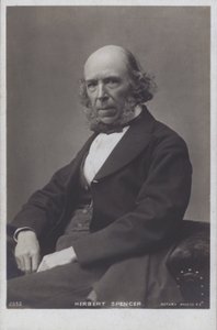 Herbert Spencer (s/w-kuva) tekijältä English Photographer