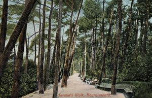 Invalids Walk, Bournemouth (kuva) tekijältä English Photographer