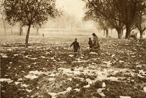 Hampstead Heathin roskainen nurmikko pyhäinpäivän jälkeisenä päivänä, kuvasta Wonderful London, julkaistu 1926-27 (syväpaino). tekijältä English Photographer