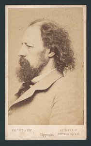 Lordi Tennyson, käyntikortti tekijältä English Photographer