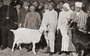 Mahatma Gandhi saapuu Lontooseen Englantiin vuonna 1931 opetuslapsensa Madeleine Sladen ja kahden vuohen kanssa vuonna 1935 julkaistusta The Story of Twenty Five Years -sarjasta. tekijältä English Photographer