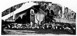 Intiaanimetsästyspalkintoni, noin 1870-luku tekijältä English Photographer