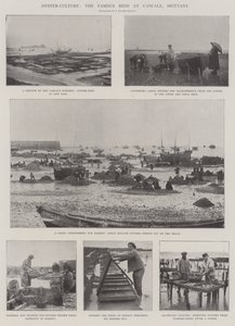 Oyster-Culture, kuuluisat vuodepaikat Cancalessa, Bretagnen