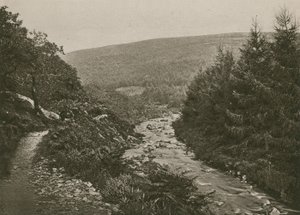 Polku Bagworthy Waterin varrella, Doone Valley tekijältä English Photographer