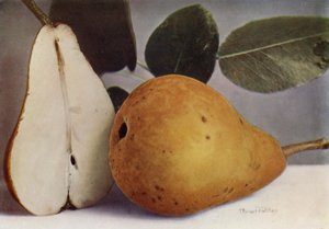 Päärynä, Durondeau (värikuva) tekijältä English Photographer