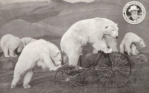 Kolmipyörällä ratsastava jääkarhu, Carl Hagenbeck