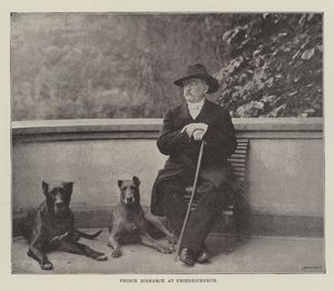 Prinssi Bismarck Friedrichsruhissa tekijältä English Photographer