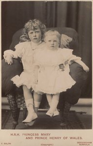 Prinsessa Mary ja Walesin prinssi Henry tekijältä English Photographer