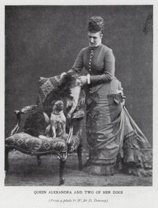 Kuningatar Alexandra ja kaksi hänen koiraansa (m/w kuva) tekijältä English Photographer