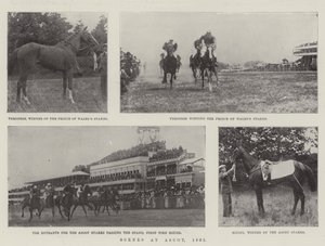 Kohtauksia Ascotissa, 1901 tekijältä English Photographer