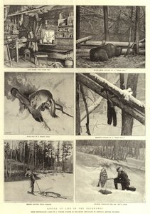 Elämän kohtauksia takametsissä