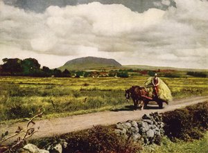 Slemish, Antrimin kreivikunta (värikuva) tekijältä English Photographer