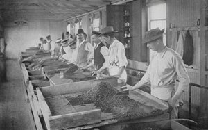Etelä-Afrikka: Searching Tables, De Beers Diamond Mines, Kimberley (m/v kuva) tekijältä English Photographer