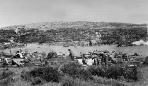 Suvla Bay, Gallipoli at Chocolate Hill, n. 1915 tekijältä English Photographer