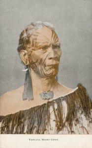 Tangata Maori Chief (kuva) tekijältä English Photographer